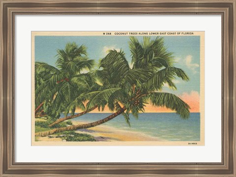 Framed Florida Postcard III Print