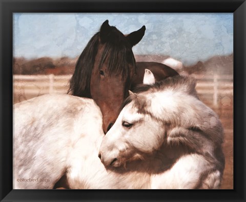 Framed White and Chestnut Horses Print