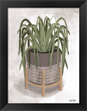 Framed Spider Plant Print