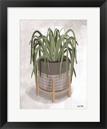 Framed Spider Plant Print