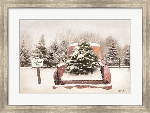 Framed Rustic Christmas Trees Print