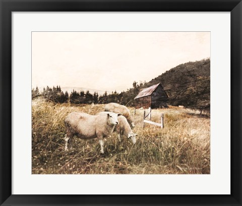 Framed Sheep in the Meadow Print