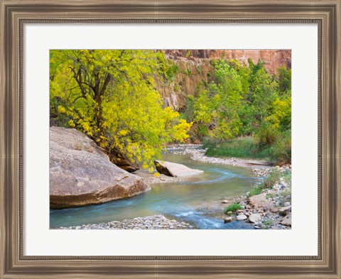 Framed Utah Zion National Park, Virgin River Print