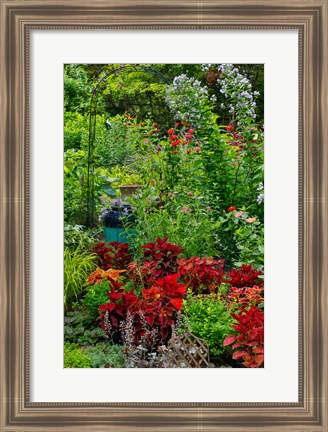 Framed Garden Summer Flowers And Coleus Plants In Bronze And Reds, Sammamish, Washington State Print