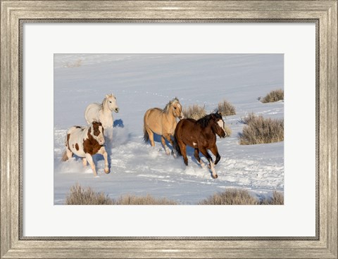 Framed Herd Of Horses Running In Snow Print