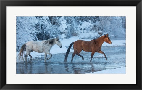 Framed Horses Crossing Shell Creek In Winter, Wyoming Print