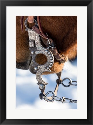 Framed Close-Up Of Bridal And Bit With Silver Work Print