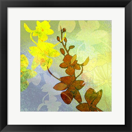 Framed Ochid Shadows 2 Print