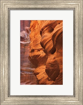 Framed Buckskin Gulch III Print