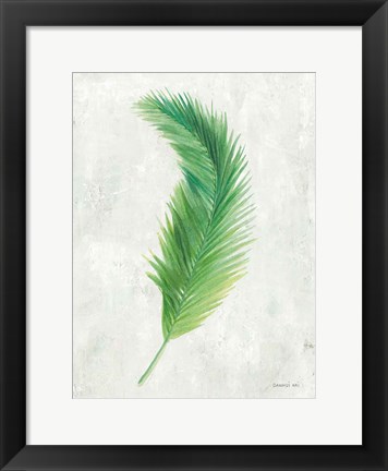 Framed Palms of the Tropics VI Print