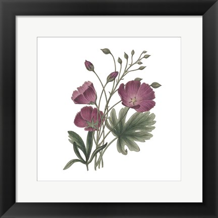 Framed Monument Etching Tile Flowers III Print