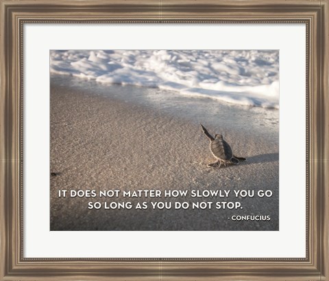 Framed Do Not stop Print