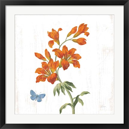 Framed White Barn Flowers VII Sq Print