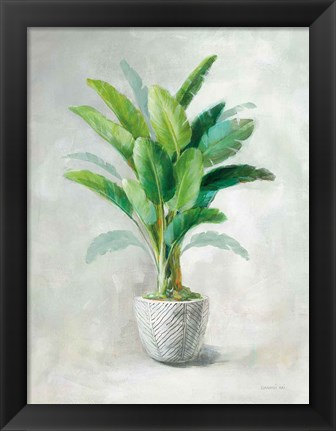 Framed Greenhouse Palm II Print