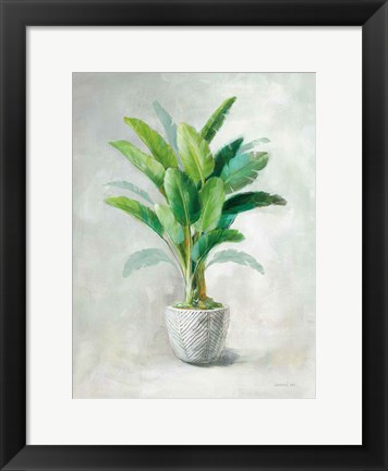 Framed Greenhouse Palm II Print