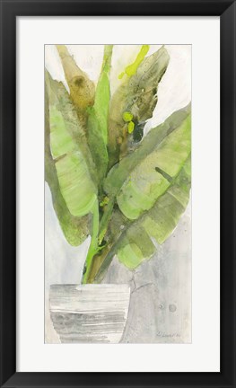 Framed Tropical Planter II Print