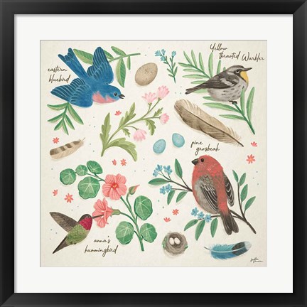 Framed Bird Study III Print