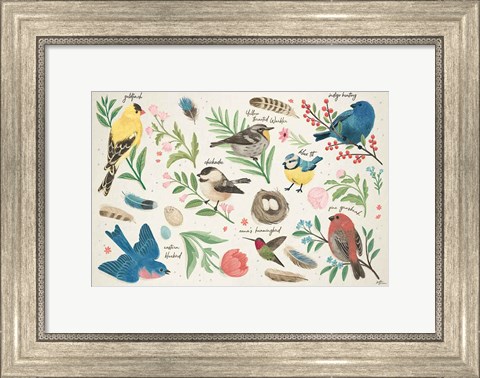 Framed Bird Study I Print
