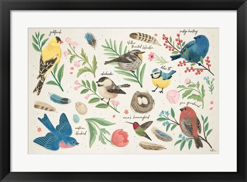 Framed Bird Study I Print