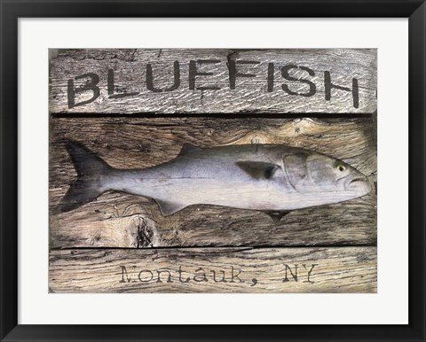 Framed Bluefish Print