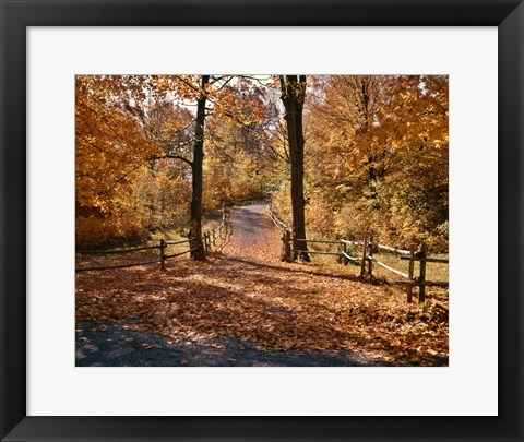 Framed 1960s AUTUMN TRAIL PARK PATH WISCONSIN Print