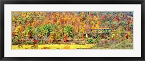 Framed Cantilever Bridge And Autumnal Trees In Forest, Central Bridge, New York State Print