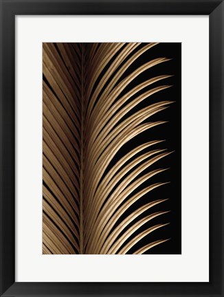 Framed Tropical Leaf Study I Print