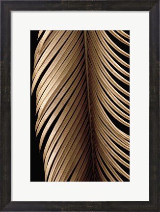 Framed Tropical Leaf Study II Print