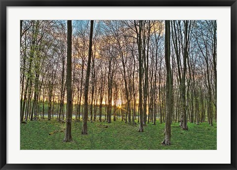 Framed Secret Sunset Print