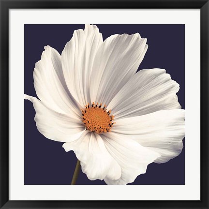 Framed Cosmos I Print