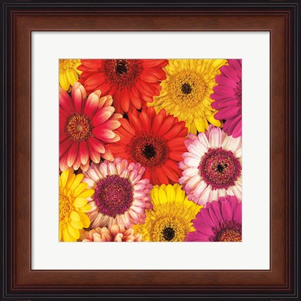 Framed Splash of Color II Print