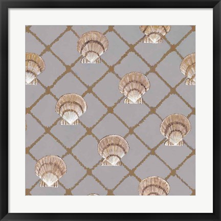 Framed Scallop Shell Net Print