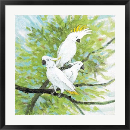 Framed Cockatoos Print