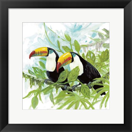 Framed Toucans Print