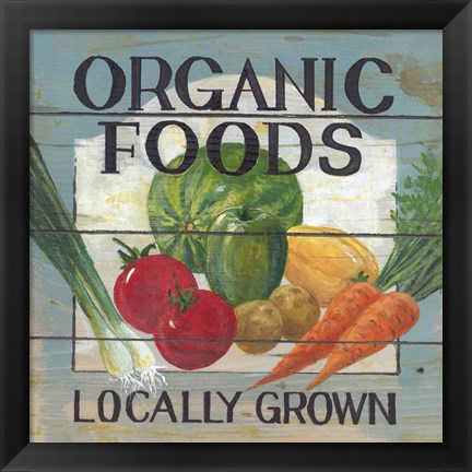 Framed Organic Foods Print