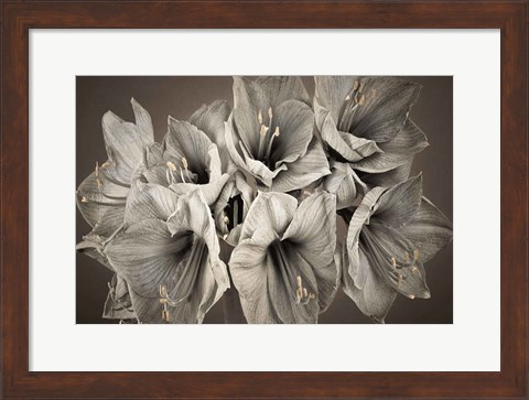 Framed Grand Floral Print