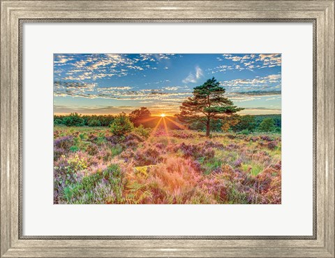 Framed Heathland Sunset Print