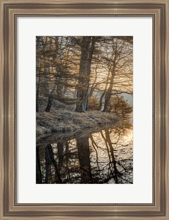 Framed Frosty Morning I Print