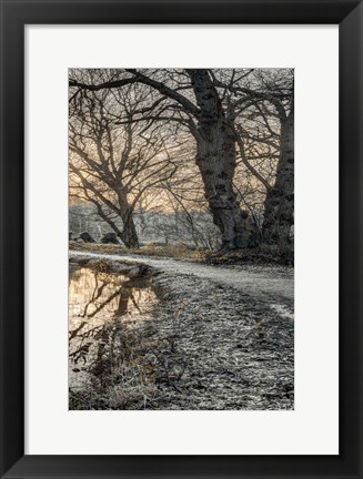 Framed Frosty Morning III Print