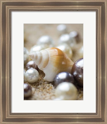 Framed Sea Jewels I Print