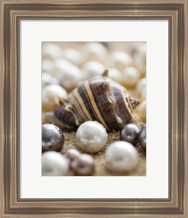 Framed Sea Jewels II Print