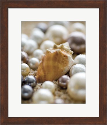 Framed Sea Jewels III Print