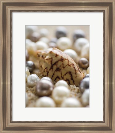 Framed Sea Jewels IV Print