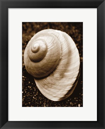 Framed Sea Gallery II Print