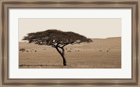 Framed Serengeti Horizons I Print