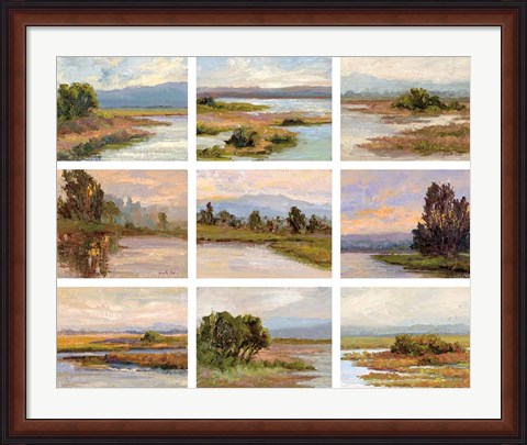 Framed Jewels of the Wetlands, Series One Print