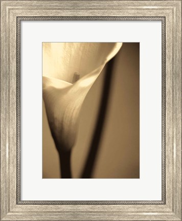 Framed Divinity I Print