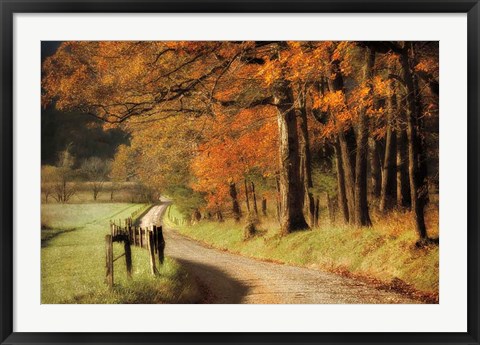 Framed Autumn&#39;s Morning Light Print