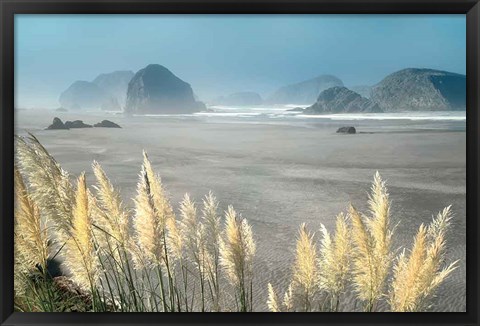 Framed Pampas Beach Print