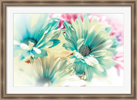 Framed Color Full Print